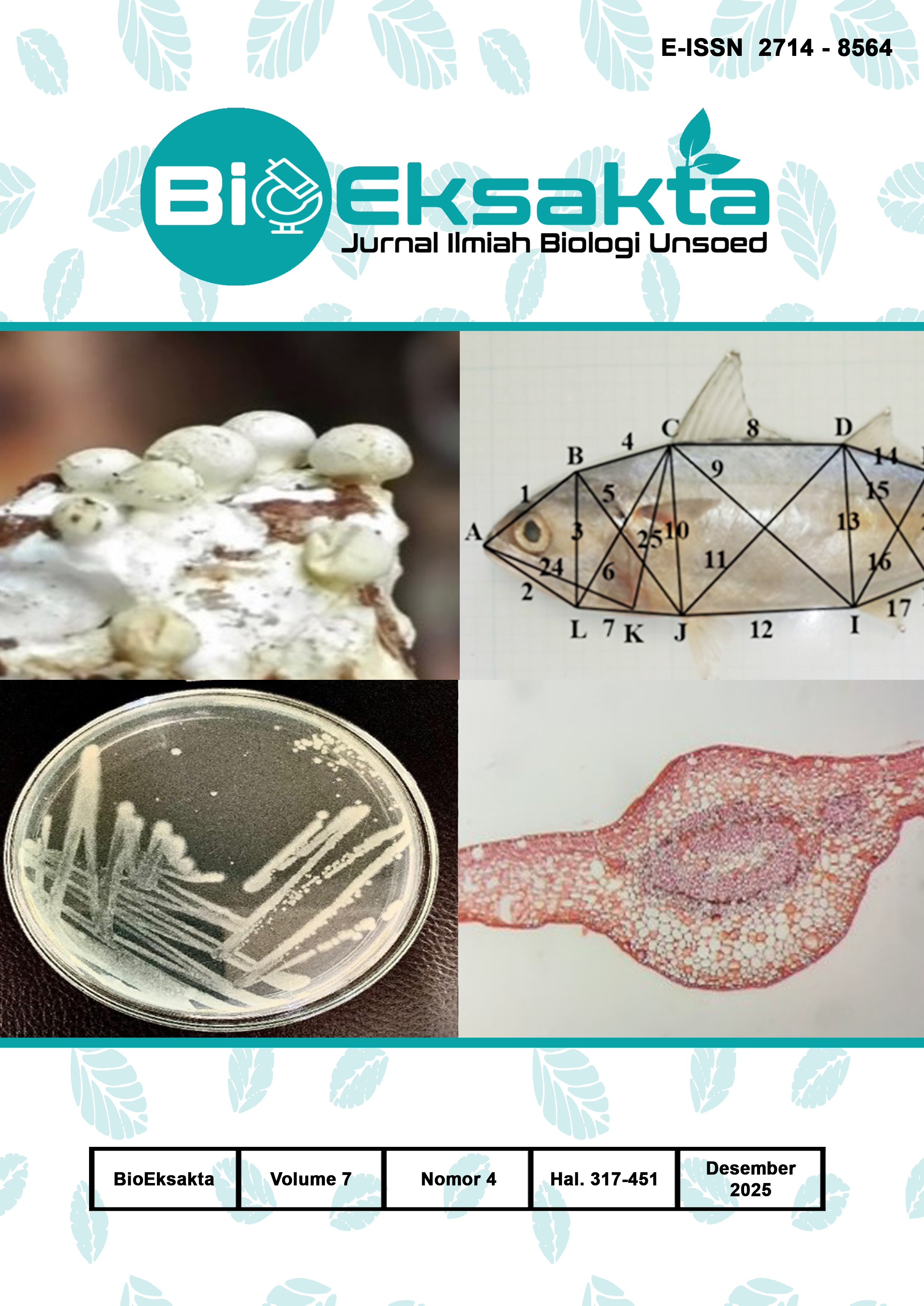 bioeksakta desember 2025